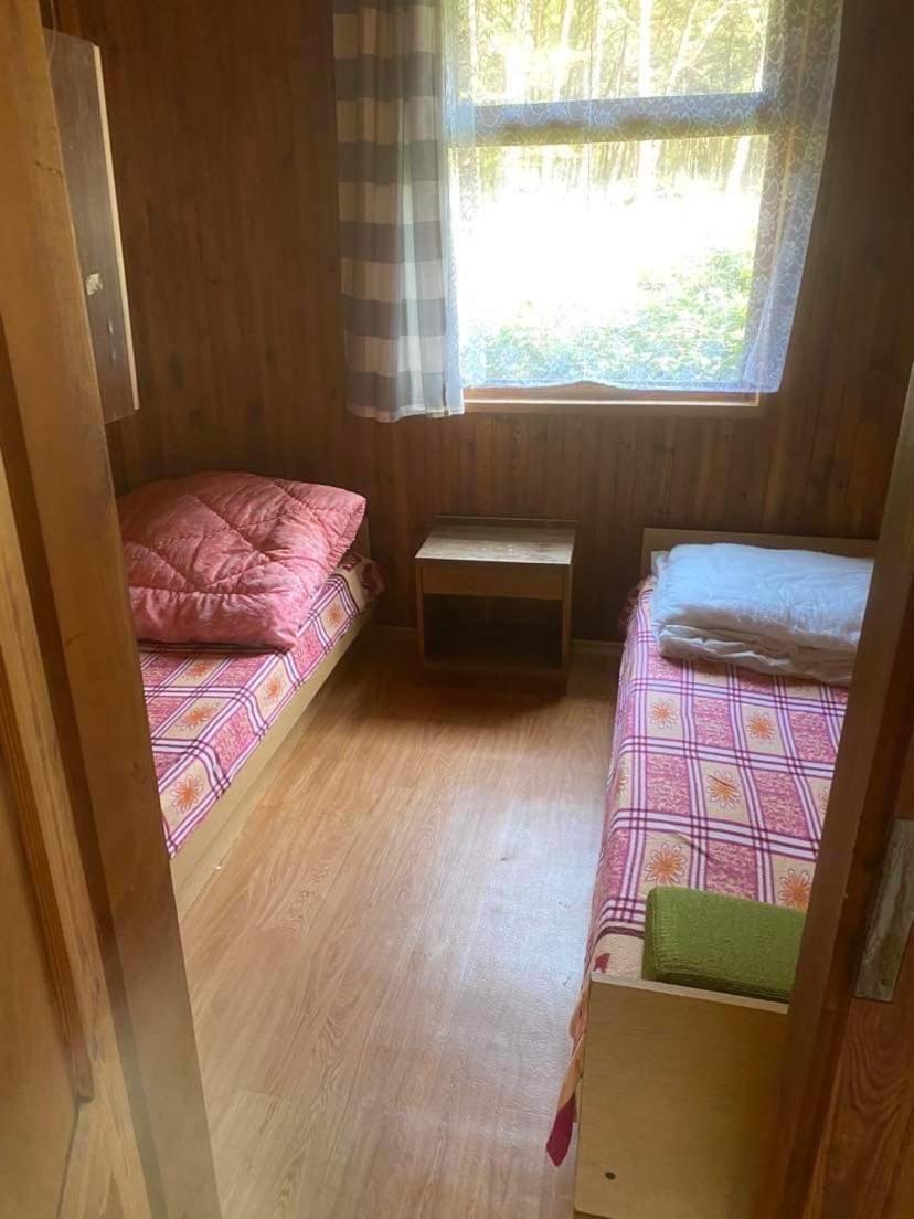 Domki Szumi Las Mrzeżyno Extérieur photo